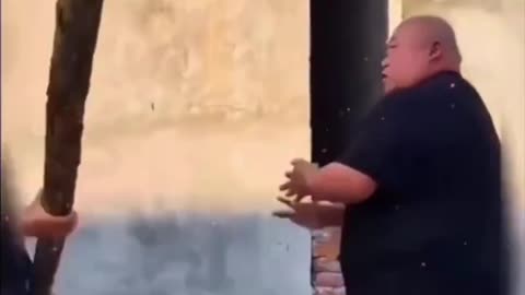 Funny Video Compilation