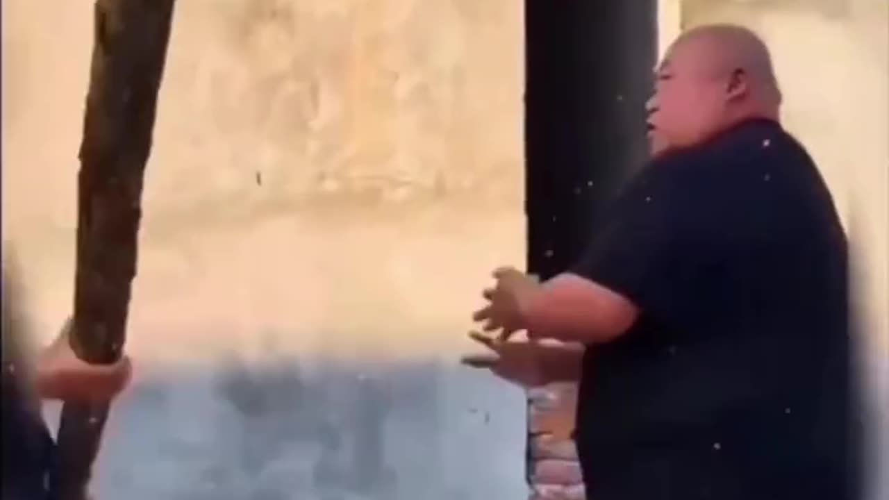 Funny Video Compilation