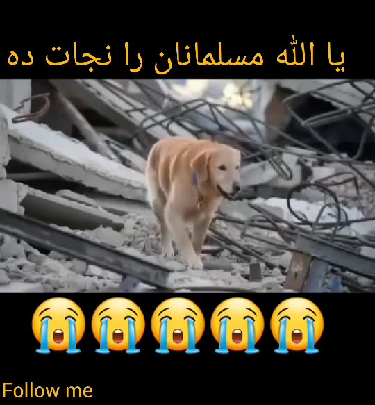 با دیدن این ویدئو اشک از چشمانم جاری شد یا الله تمام مسلمانان را از چنک ظالم نجات ده