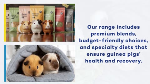 Best Guinea Pig Food