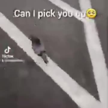 Walking my pigeon #entrepreneur #author #influencer #like #follow #share #subscribe #Shorts #reels