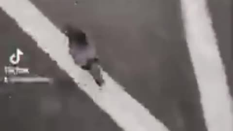 Walking my pigeon #entrepreneur #author #influencer #like #follow #share #subscribe #Shorts #reels