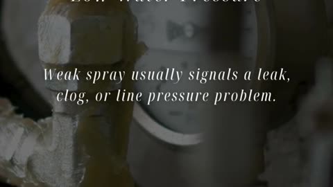 Top 5 Signs Your Irrigation System Needs Immediate Repair