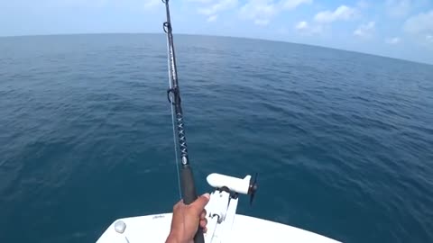 pesca a pesci grossi o big fish, parte 2, hammer shark o grande squalo martello_part8