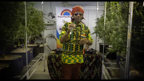 Serenaded Buds : Yes To Life (Dub Plate) - Blakkamoore & The Bambu King Featuring Messenjah Selah