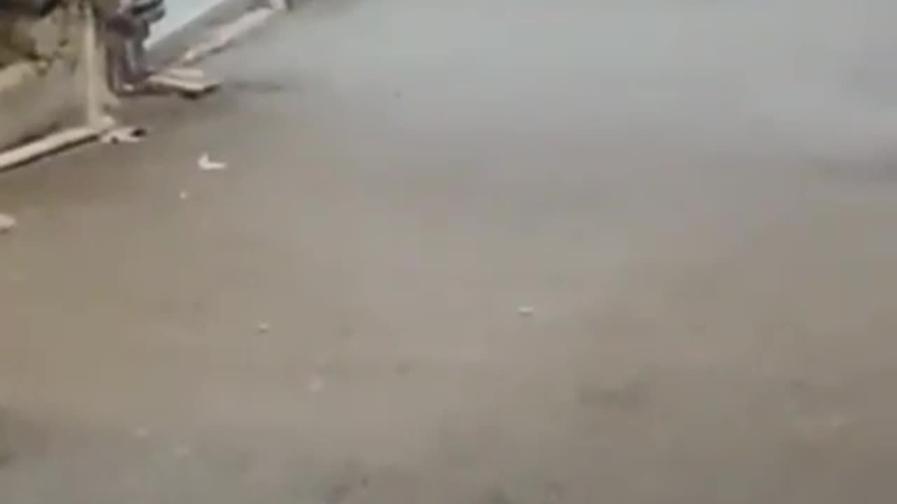 Dog vs Rat – Funny Fight