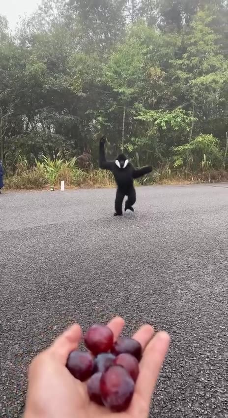 Sharing is caring 😊