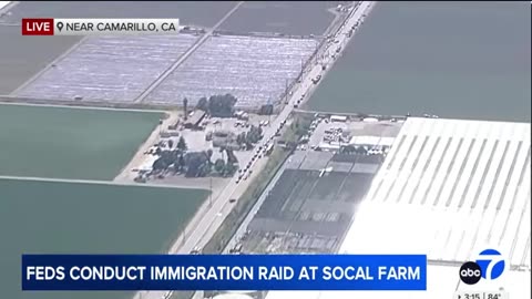IMMIGRATION RAID IN CARMILLO CA GETS UGLY
