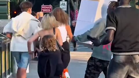 funny videos