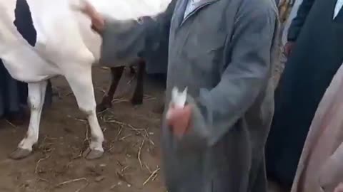 😂🤔 Why Did He Do That?! | FunFM