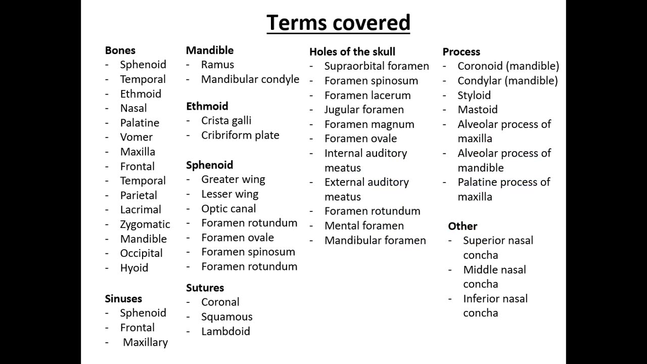 Practice identifying the bones/parts of the skull Full video