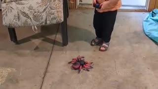 😱😂 Kid's Funny Reaction to the Same Toy He Just Touched! | FunFM