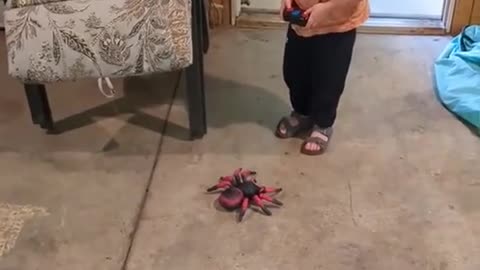 😱😂 Kid's Funny Reaction to the Same Toy He Just Touched! | FunFM