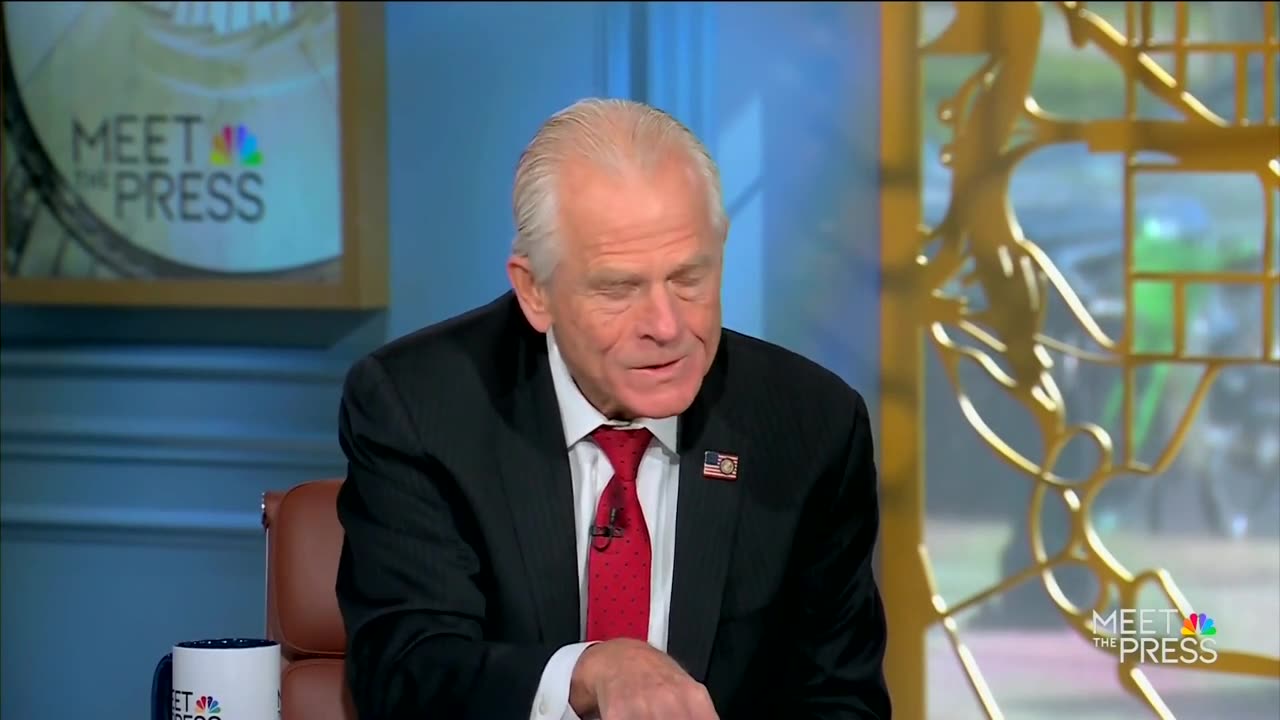 'I've Been Called Worse': Peter Navarro Squashes Rumors Of Musk Feud, Being 'Sidelined'