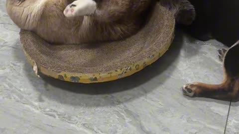 Old habits die hard