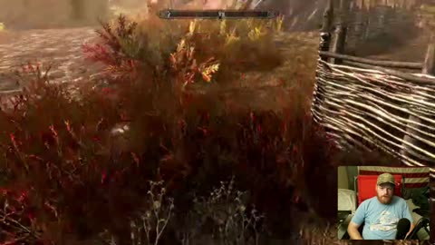 Skyrim Fun And Talking