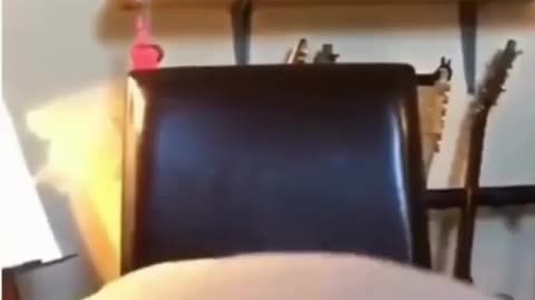😂🤣 I've Lost Count on How Many Times I Watched This! | FunFM