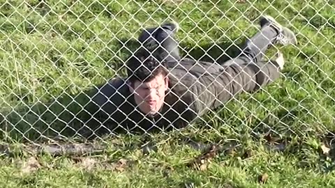 How animals get over a fence 😂