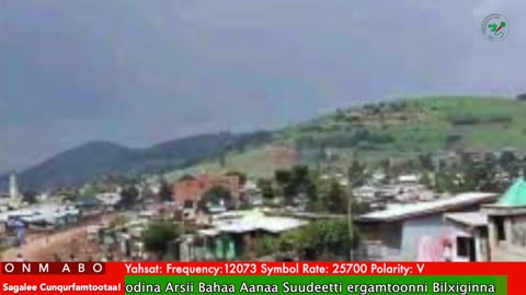 Oduu Ganama ONM-ABO Bitootessa 22-2025 itti dhiyaadhaa!