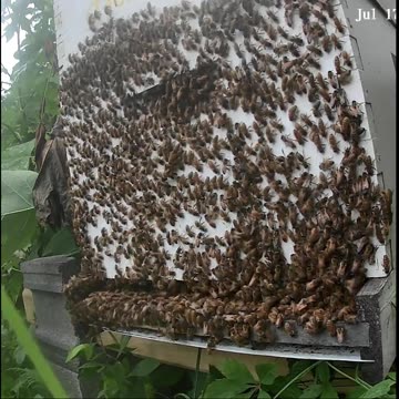 Thursday Evening - A Thunderstorm Begins