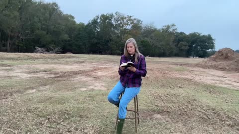 Morning Prayer, Daily Office