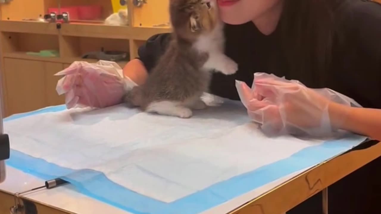 My pretty little baby 💛