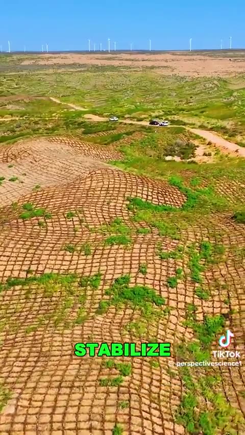 Three generations of fighting desertification in China's Gobi Desert are paying off!