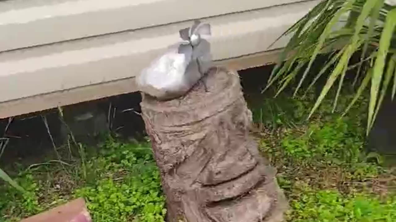 Another day in paradise