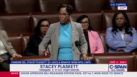 Plaskett Goes Berserk on House Floor