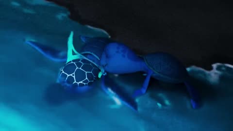 HOPE (2020)