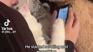 🤣🐾 Such a Clever Kitty Outsmarts Everyone! | FunFM