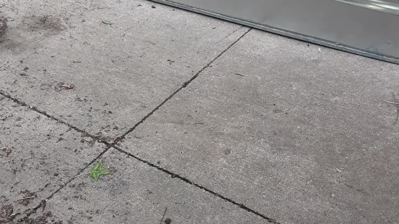 LIVESTREAM #87 WHO is ready for baptism?