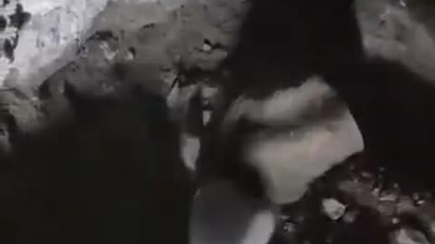 Tula Hidalgo ancient tomb discovery in Mexico with many strange alien carvings