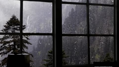 All-Night Rain and Thunder Sounds - Deep Sleep & Anxiety Relief Companion