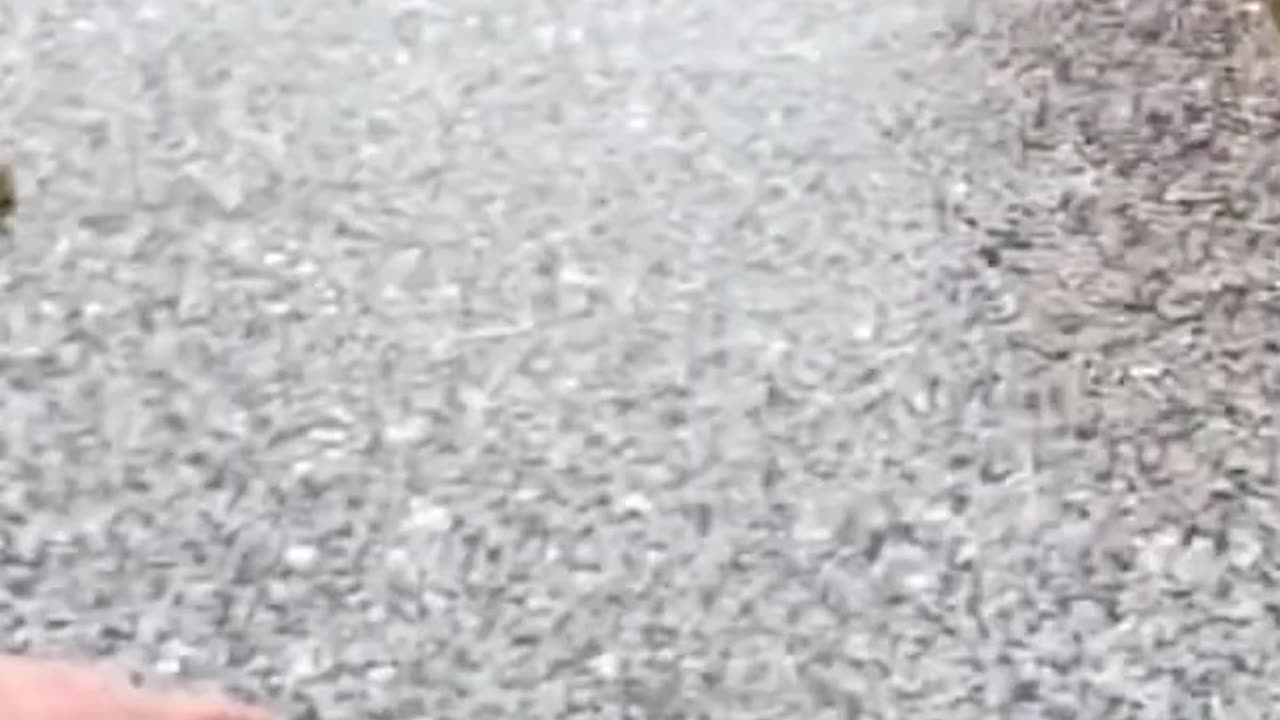 FAMOUS GRAVES - VOL. 92: DALE CARNEGIE