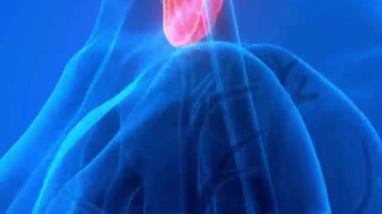 Regulate your thyroid with our EnerG-Iodine Tincture