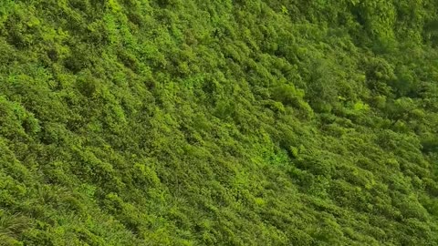 Solo Mission on One of the Sketchiest Hikes in Oahu
