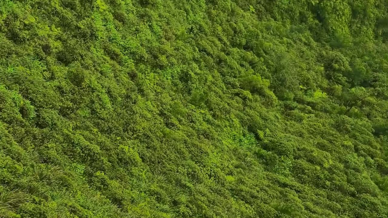 Solo Mission on One of the Sketchiest Hikes in Oahu