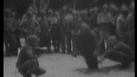 Jungle training - Jungle training - 428-npc-8505