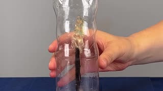 Bottle trick for efficient fuel siphoning✨