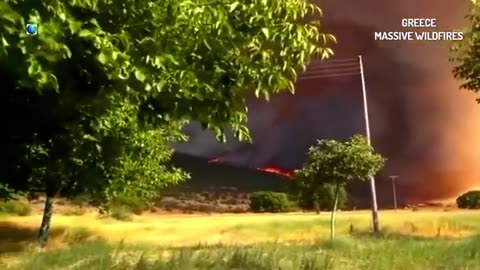 La Grèce continue de brûler et personne ne sait comment arrêter les incendies