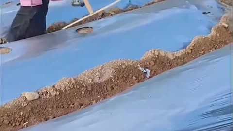 Let us make farming a lot easier for you!.hd