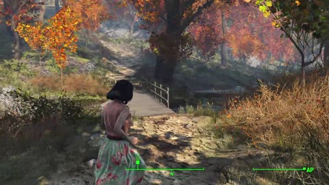 FALLOUT 4? - YAS