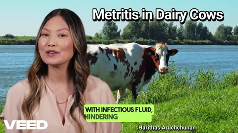 Metritis in Dairy Cattle:A Hidden Threat to Fertility and Farm Profitability