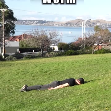 How animals get over a fence 😂 pt2 (With emojis)