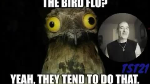SCAMDEMIC 2.0: INDIAN "RESEARCHERS " WARN INCREASED (FAKE) BIRD FLU HUMAN TRANSMISSION