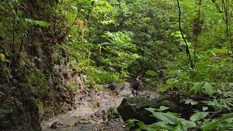 Hidden Mini Waterfall at the Farm 🇵🇭 | Expat Life in the Philippines. Nature never fails to amaze!