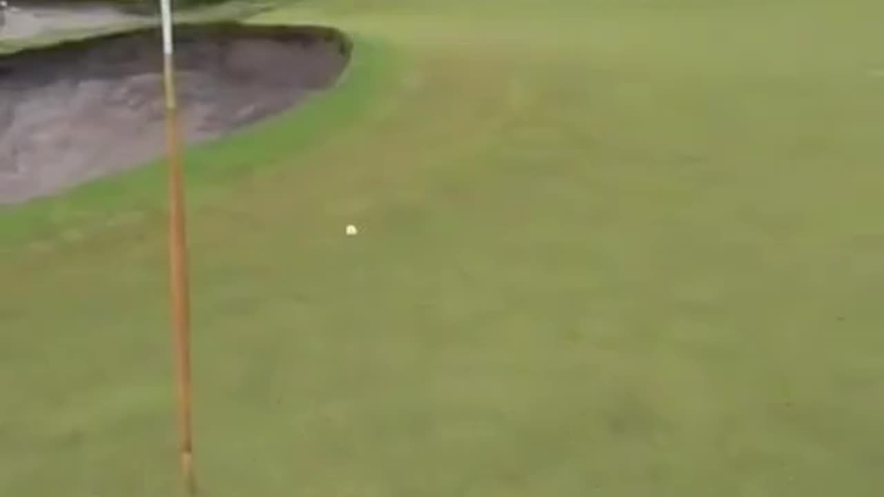 Incredible shot