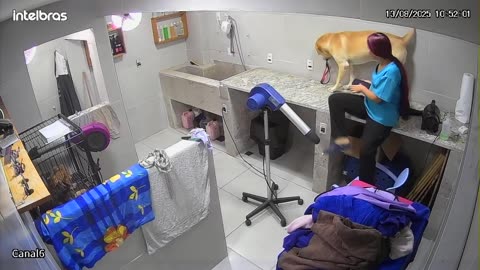 Dog Client Gets Too Friendly With Staff