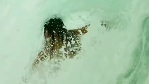 Skimboarding looks wild (via:@ambertorrealba)